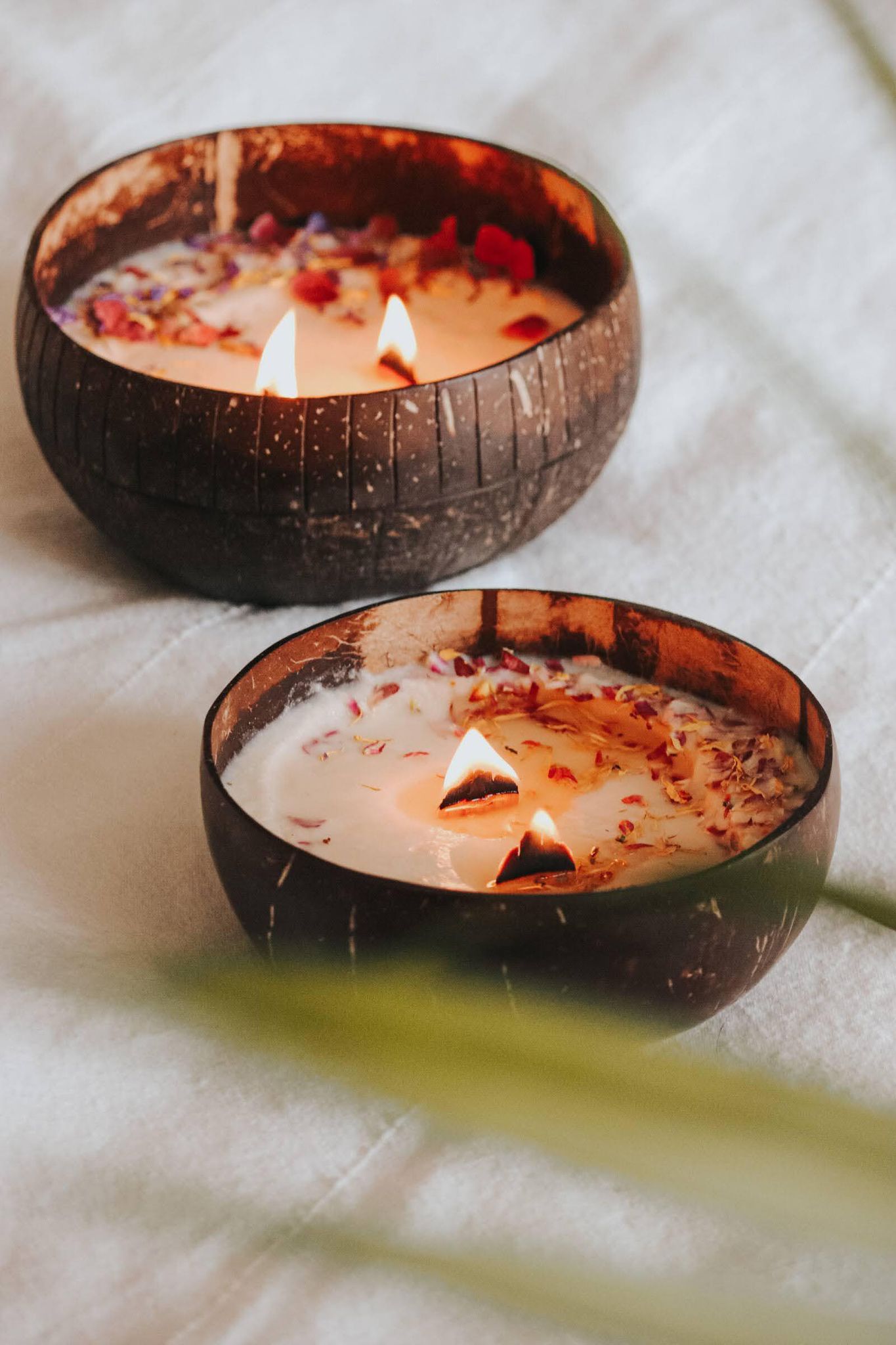 Bougies fait à partir de noix de coco